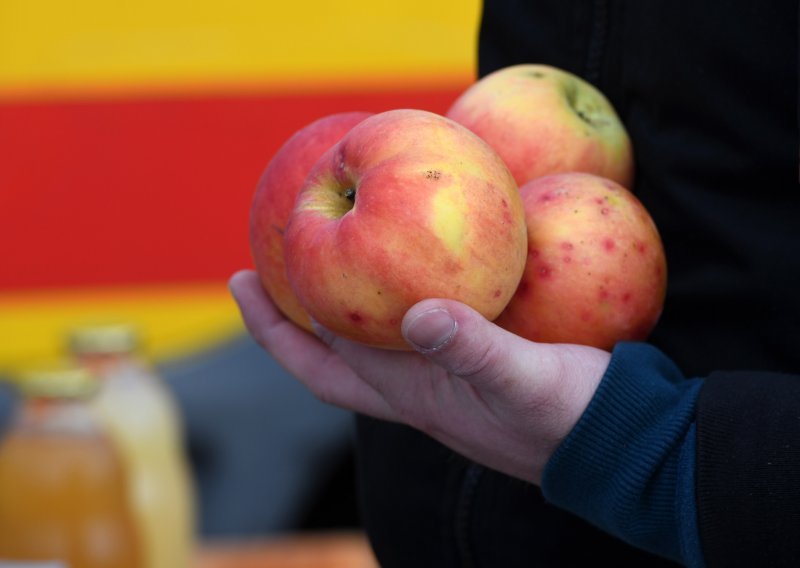 DZS: U 2020. pala proizvodnja jabuka, mandarina, marelica