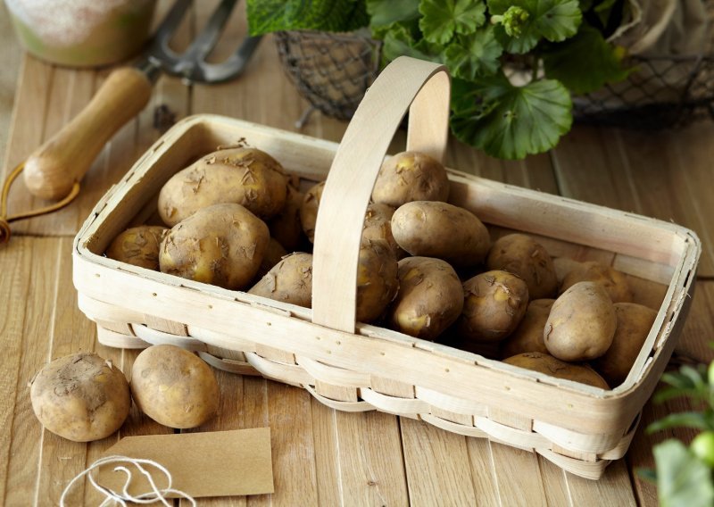 Izbjegnite greške koje svi radimo: Kako pravilno skladištiti krumpir kako bi trajao mjesecima