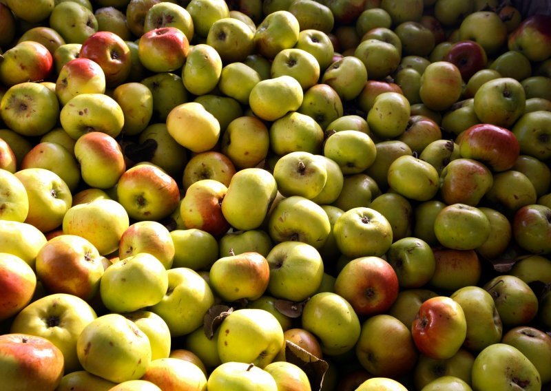 Prve posljedice suše: Ovogodišnji urod jabuka 12 posto manji nego lani