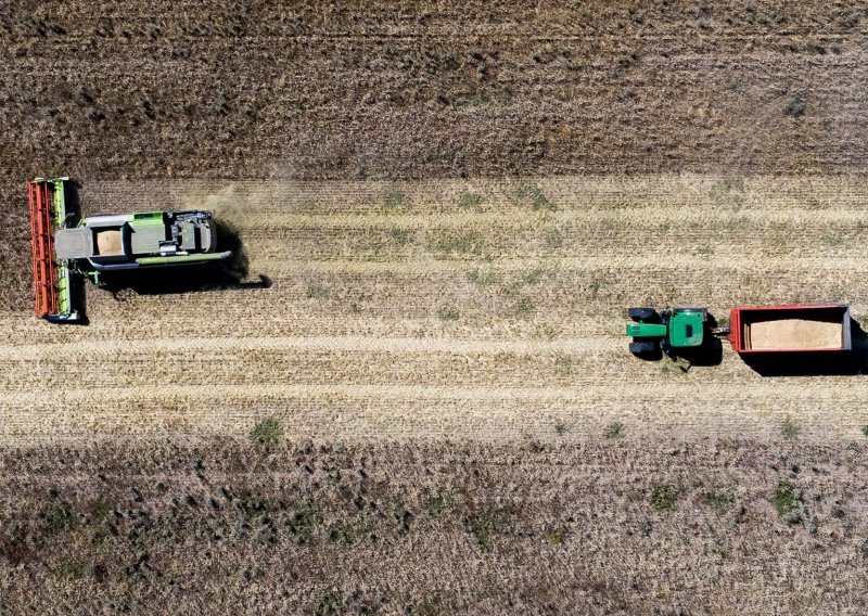 Proizvodnja pšenice u Hrvatskoj veća za 1,5 posto, procjenjuje se na 976.000 tona