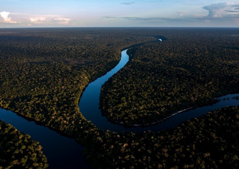 Nakon tri godine planiranja, znanstvenici napokon stigli do najvišeg stabla u Amazoniji