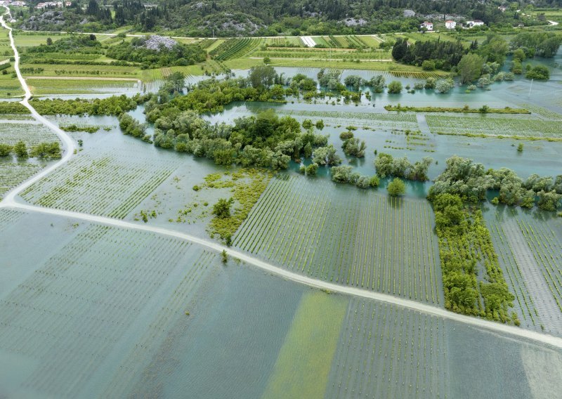 Poplavljena polja vrgoračkih jagoda, obustavljena berba na nekoliko dana