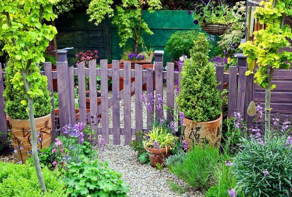 Brojne koristi: Ako u vrtu imate lavandu, ove se biljke isplati posaditi pokraj nje
